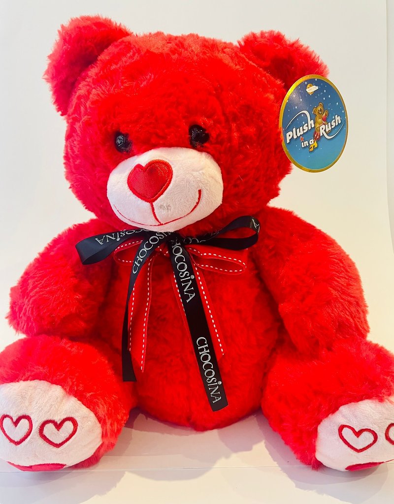 Bright & Colorful Valentines Day Bear 14.5''