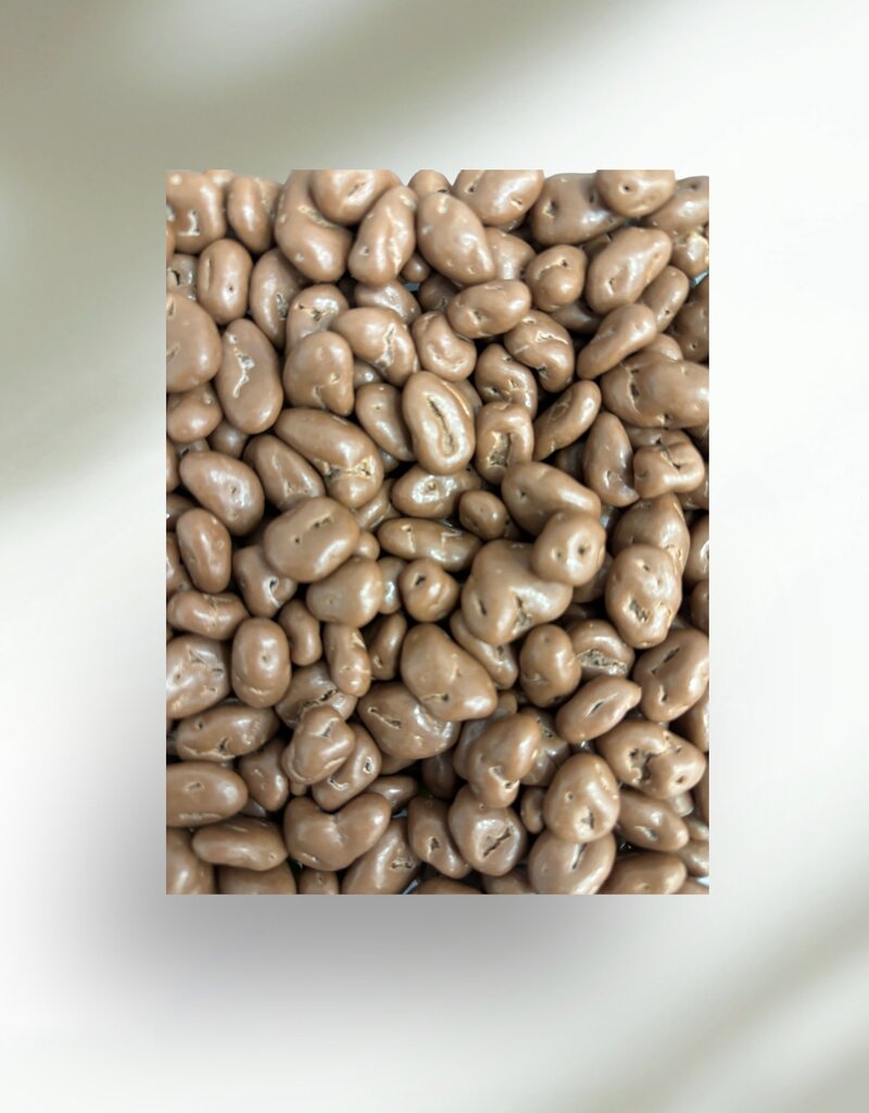 Raisins secs bio au chocolat au lait 250g