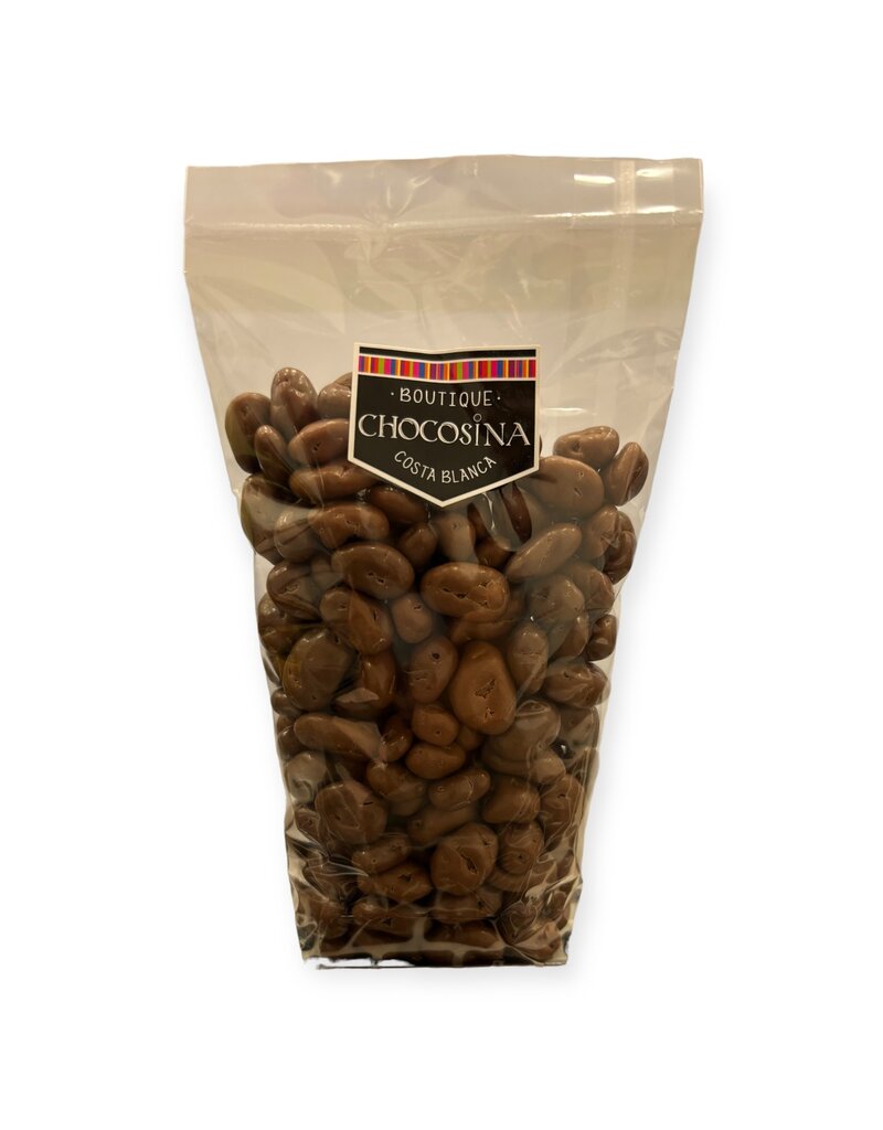 Raisins secs bio au chocolat au lait 250g