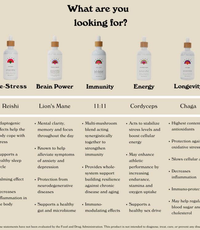 Rainbo Mushrooms Reishi Mushroom TinctureTeinture de champignons Reishi