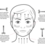Skin Gym Face Sculptor™ Rouleau de beauté