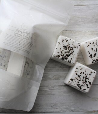 Hudson Soap Co. Shower Steamers Eucalyptus