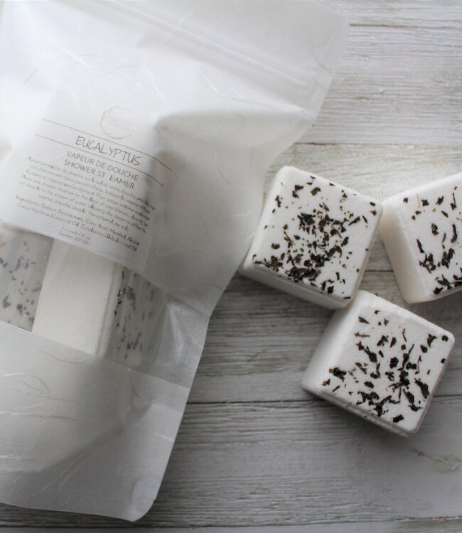 Hudson Soap Co. Shower Steamers Eucalyptus
