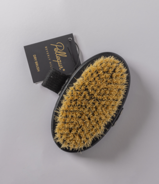 Pellequr Brosse sèche