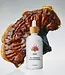 Rainbo Mushrooms Reishi Mushroom Tincture