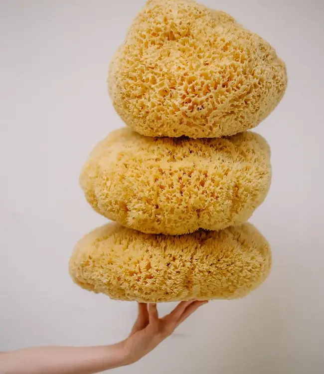 Croll & Denecke XL Sustainable Natural Sea Sponge