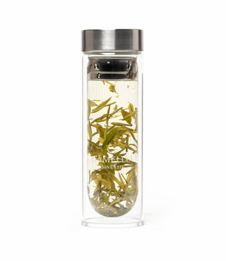 Camellia Sinensis Flacon à thé en verre