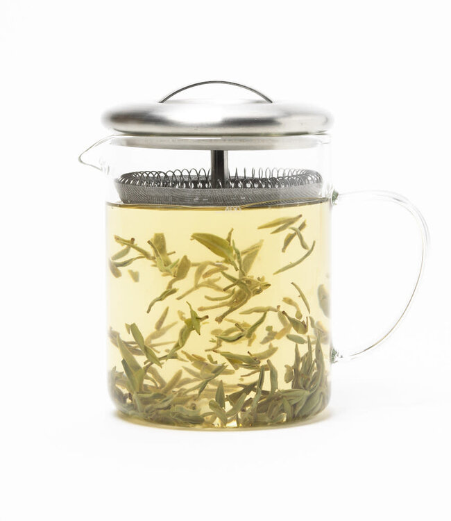 Camellia Sinensis Infusion Beaker
