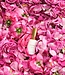 Cecilia Holistic Beauty Anti-age face serum – Golden Glow Sérum