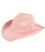 Wallaroo Hats Terry Cotton Cowboy Hat