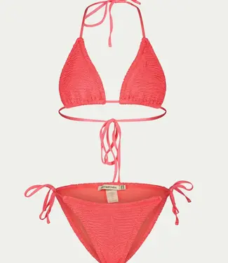 Paramidonna Ema Coral