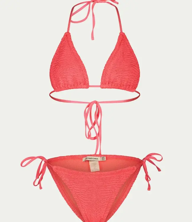 Paramidonna Ema Coral