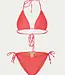 Paramidonna Ema Coral