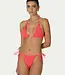 Paramidonna Ema Coral