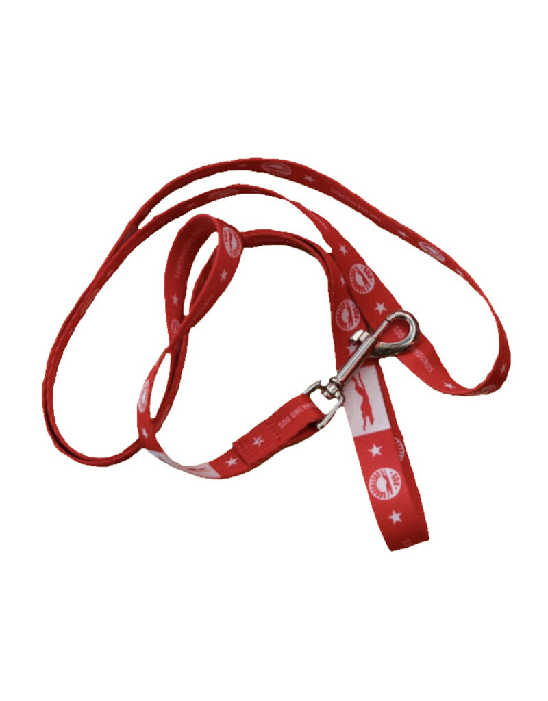 Pet Leash