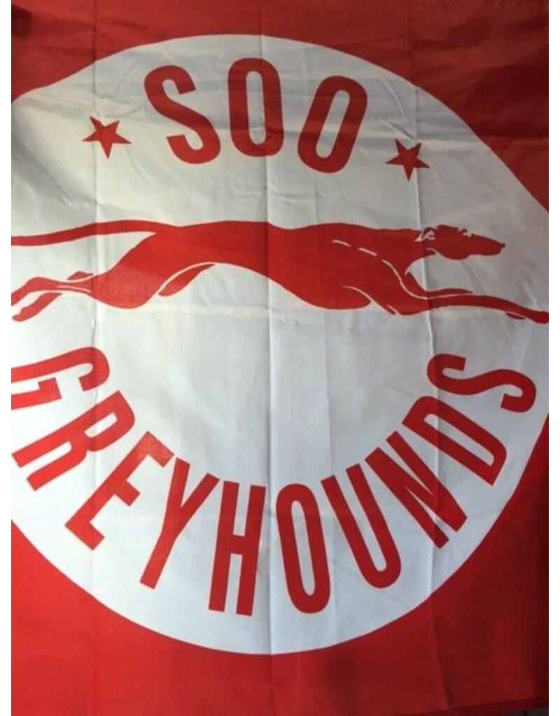 3 x 5 Flag