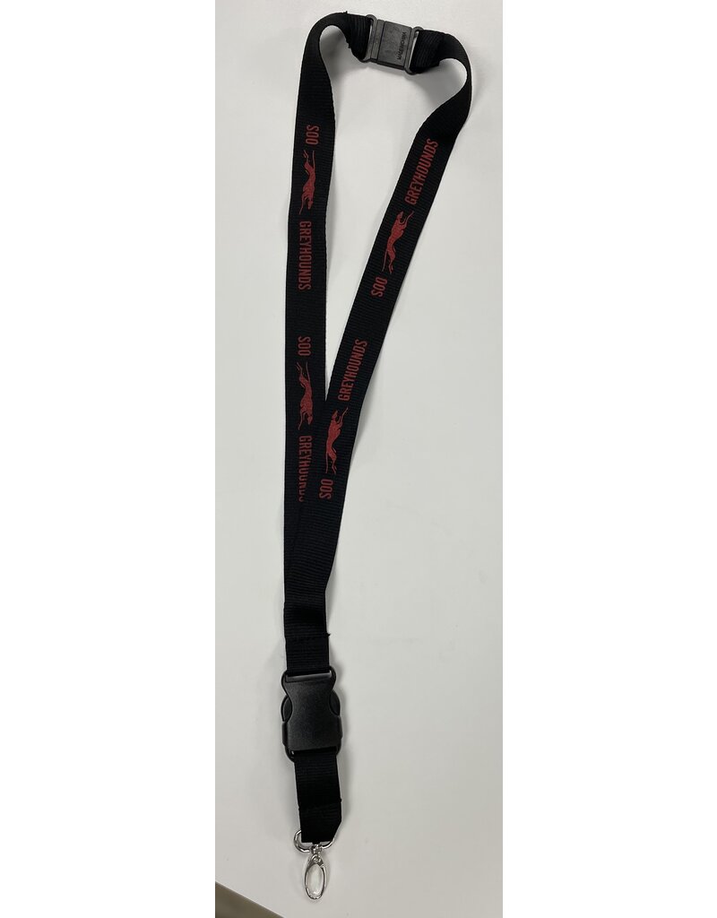 Hang in There Lanyard