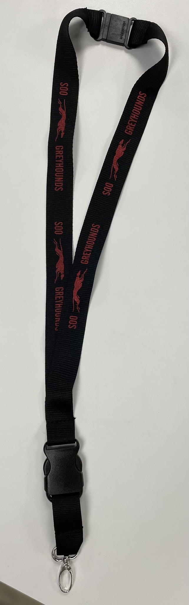 Hang in There Lanyard