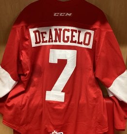 Anthony DeAngelo #7 3rd Jersey 14/15 Game Worn Jersey