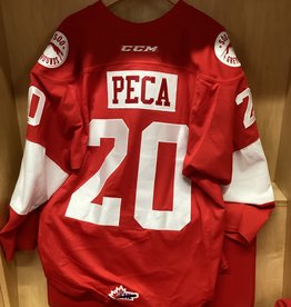 Jaden Peca #20 Game Worn 18/19 3rd Jersey