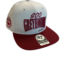 Chandler 47 Brand Snapback