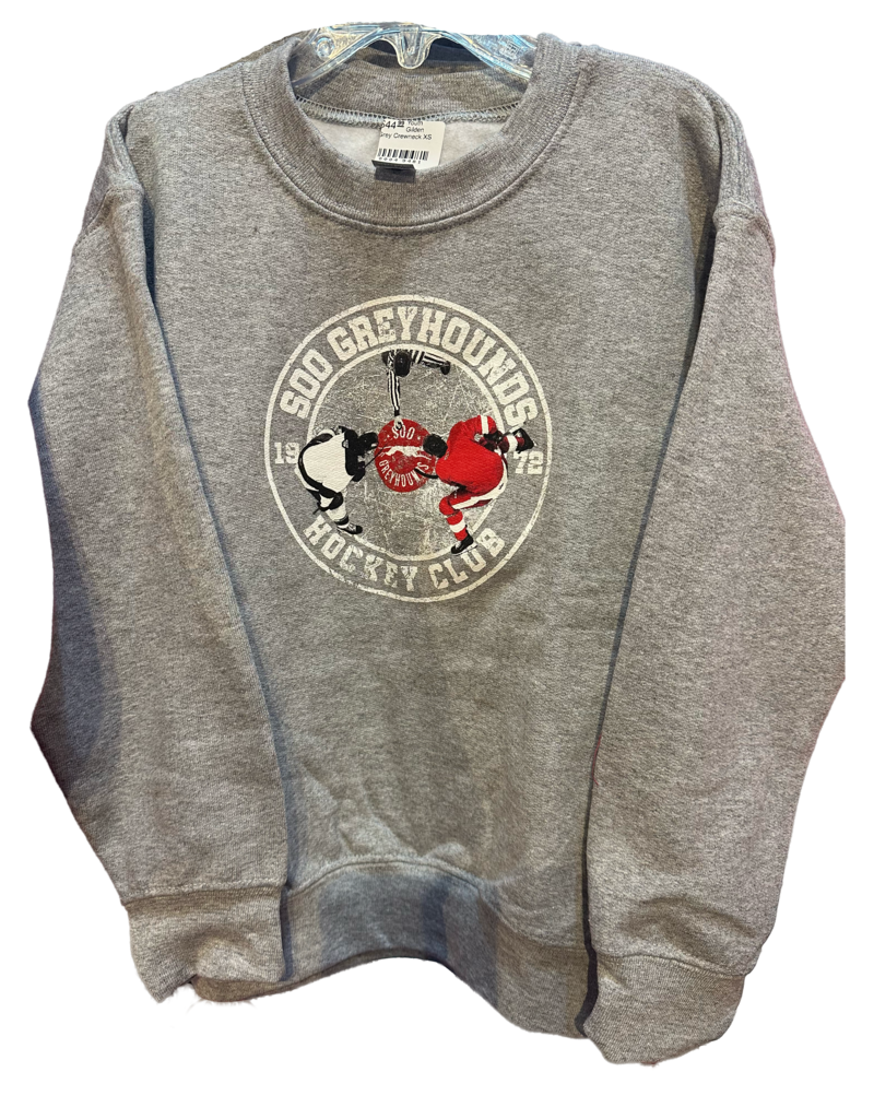 Youth Gilden Grey Crewneck