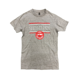 Adult Grey Distressed T-shirt