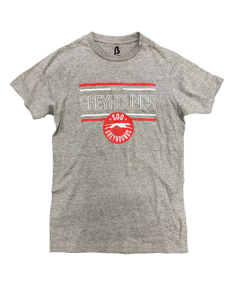 Adult Grey Distressed T-shirt