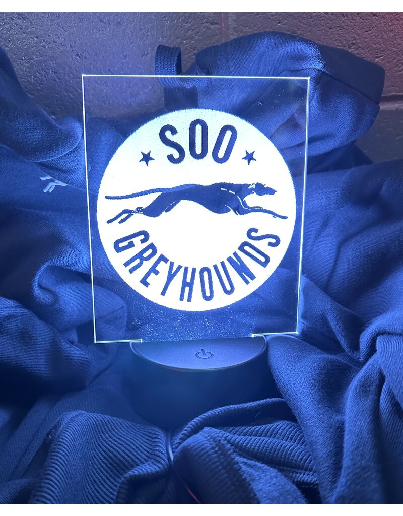 LED Logo Light w/remote