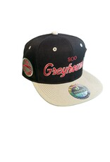 Icon Script Snapback
