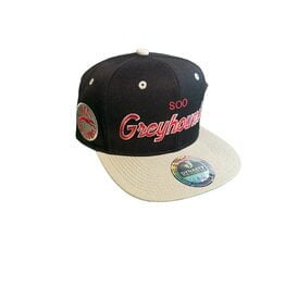 Icon Script Snapback
