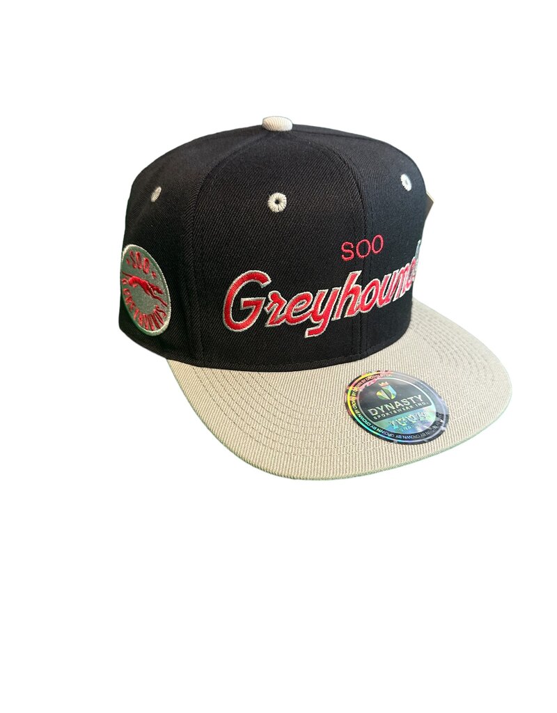 Icon Script Snapback