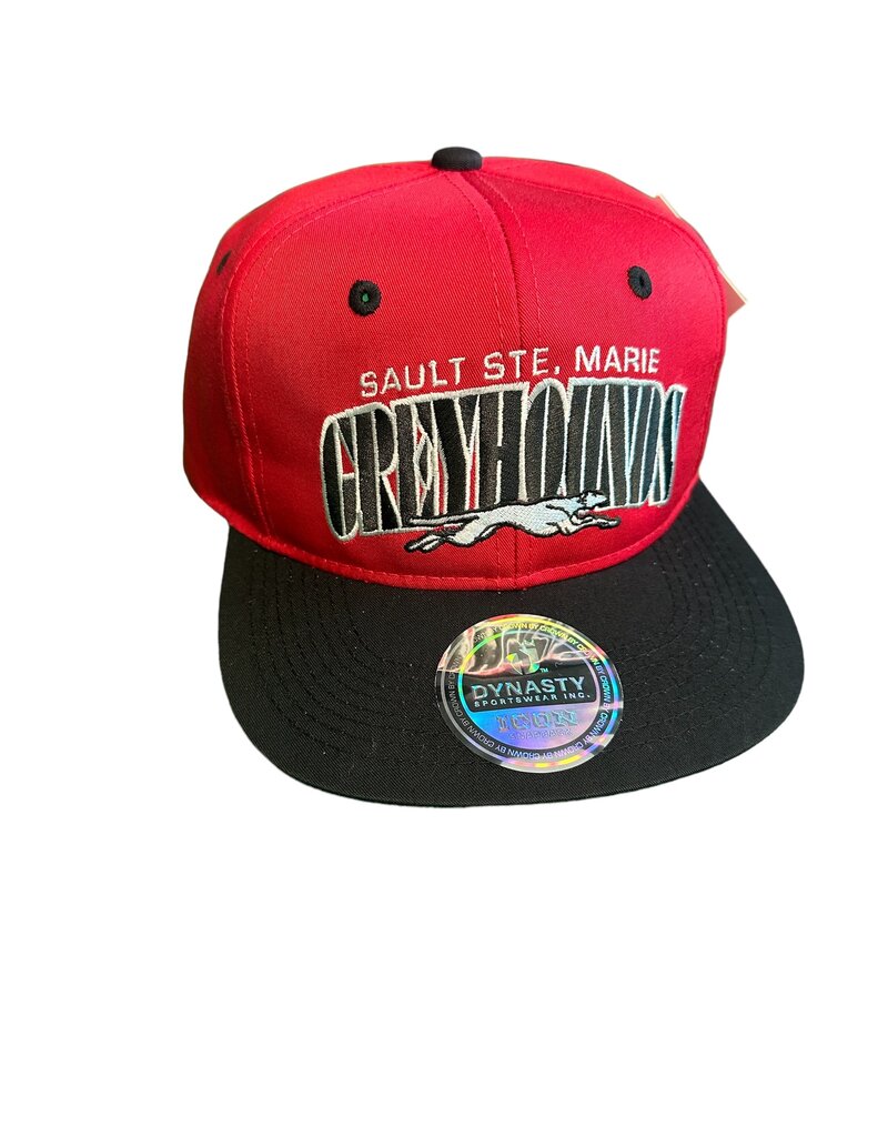 Icon Stencil Snapback