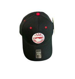 Youth Lofted Brush Cap