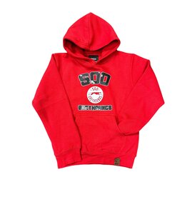 Bardown Youth Hero Hoodie