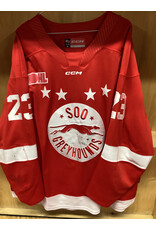 David Holub #23 Game Worn Red