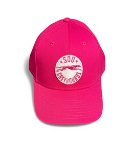Youth Lofted Brush Pink Cap