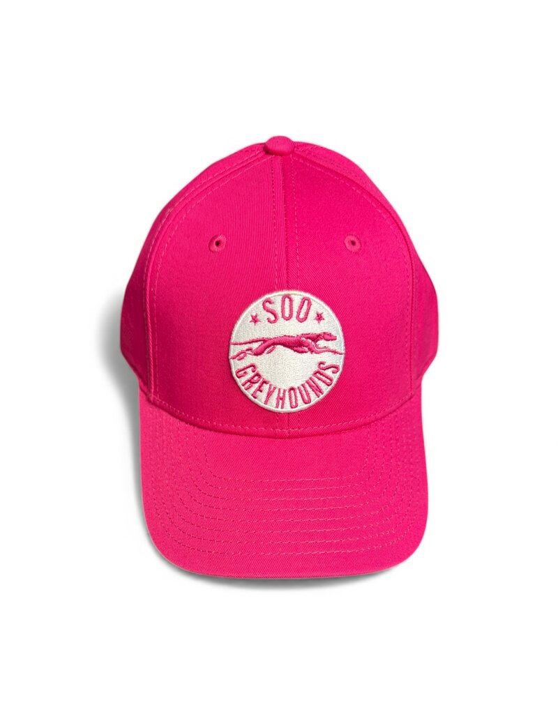 Youth Lofted Brush Pink Cap