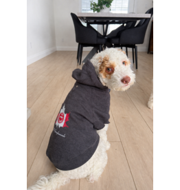 Pet Hoodie