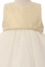 Cinderella Couture Baby Special Occasion Dress