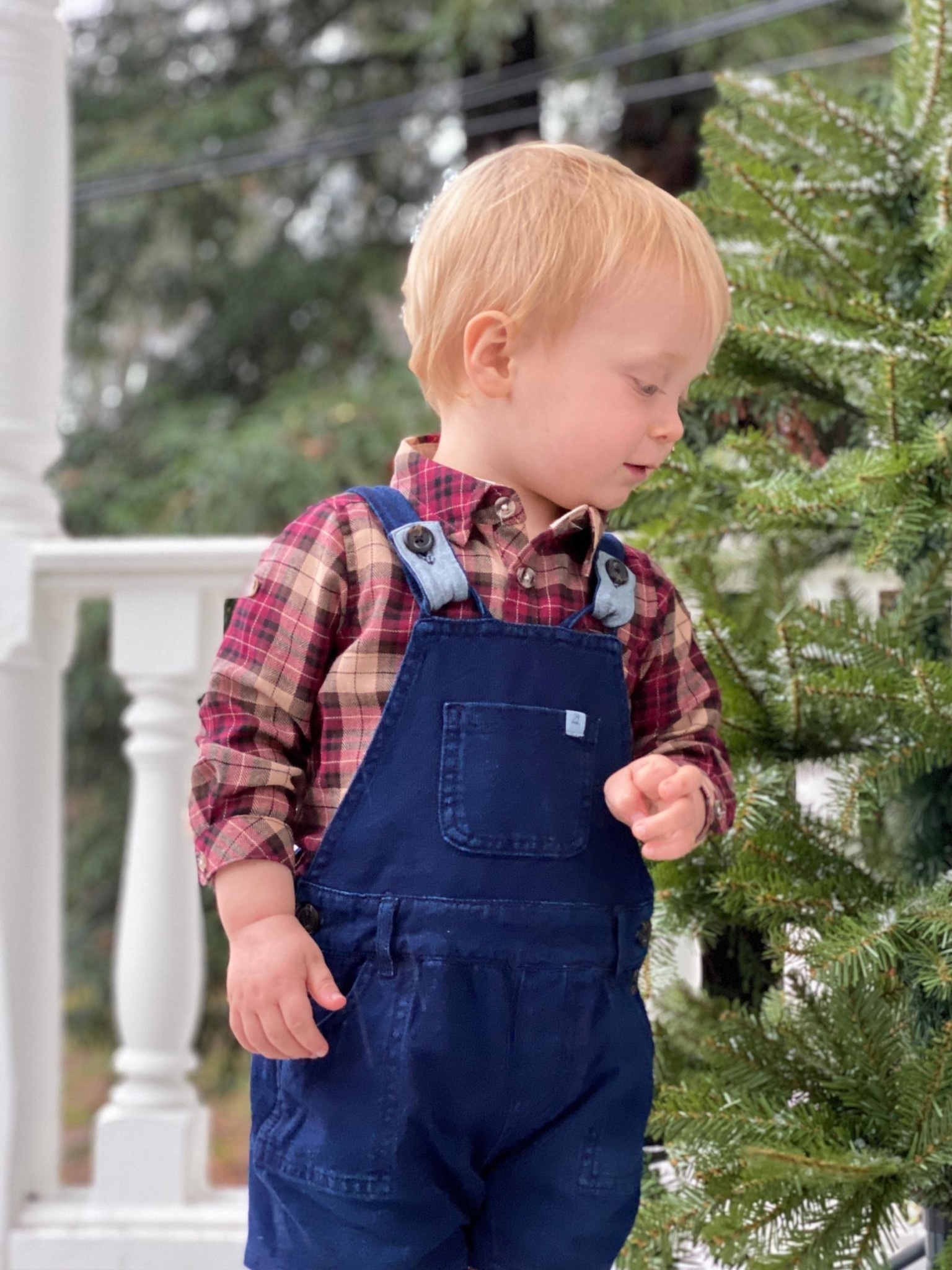 christmas dungarees