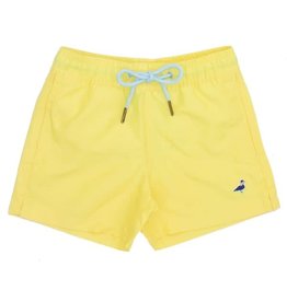 Properly Tied Boy Swim Trunks