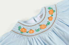 Lil Cactus Fall  Smocked Bishop Dress