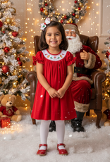Lil Cactus Santa & Gingerbread Men Christmas Dress