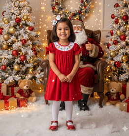 Lil Cactus Santa & Gingerbread Men Christmas Dress