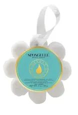 Spongelle LLC Spongelle Adult