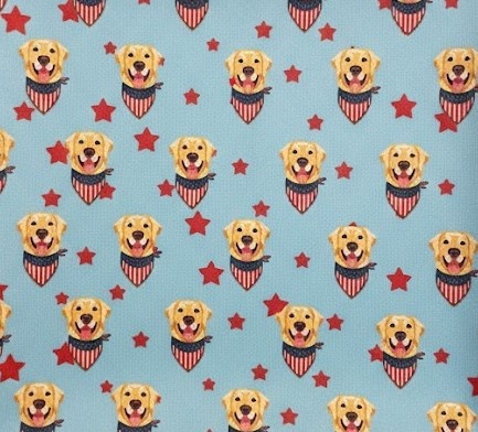 American Fit Boy's Performance Polo S/S