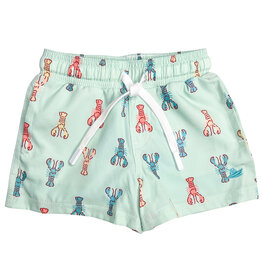 Southbound Boy Swim Trunks