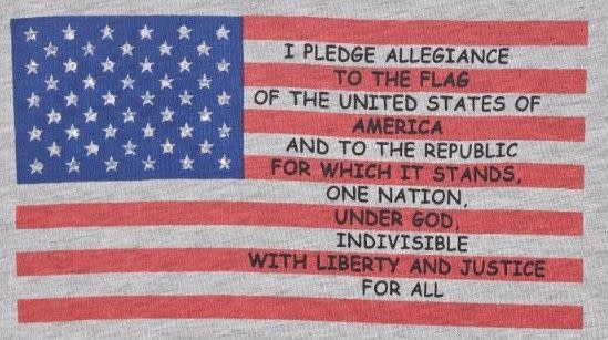 ML Fashions Flag T-Shirt