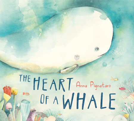 Board Book
